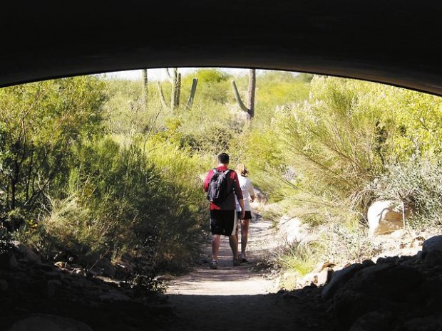 Pima Canyon Trail: Everyone can trek this stunning trail